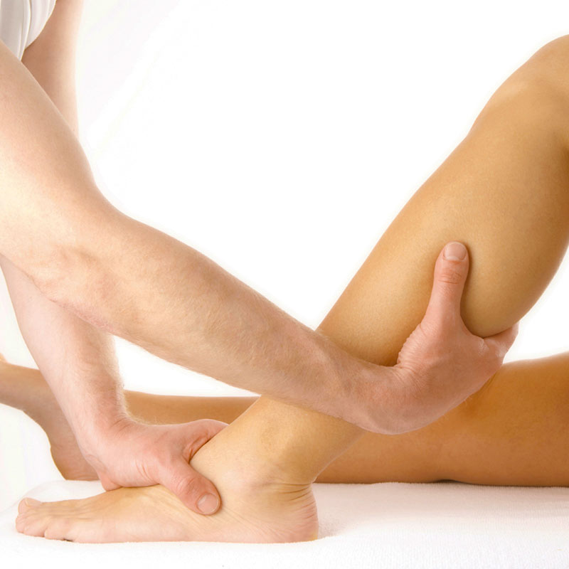  Physiotherapy massage seminar