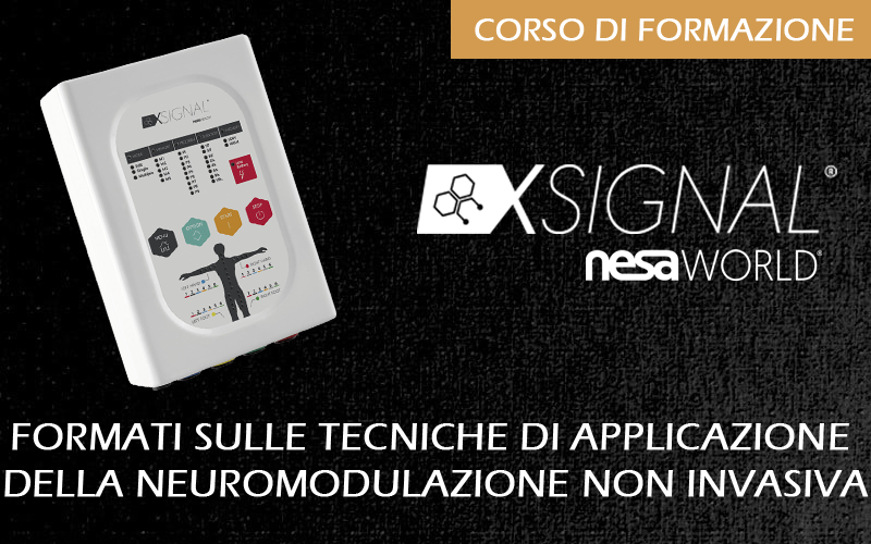 Corso Nesa