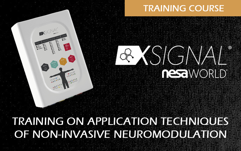 Nesa X SIgnal course